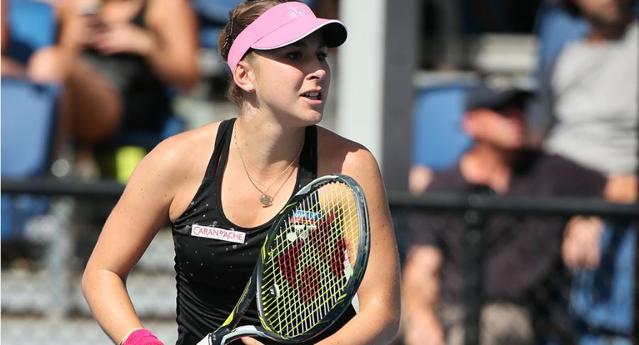 纽约洋基 纽约洋基